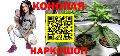 индика Кинель