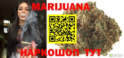 индика Кинель